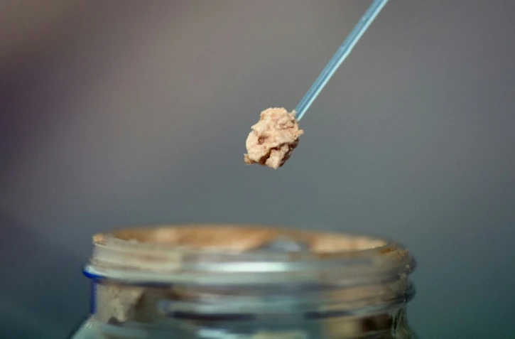 De la viande artificielle de poulet va bientôt pouvoir être proposé dans des restaurants à Singapour