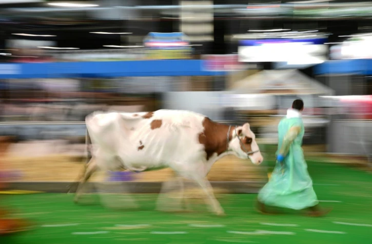 Les préparatifs du 57e Salon international de l'agriculture parc des expositions de la Porte de Versailles à Paris