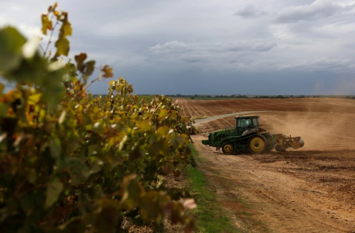 Un tracteur prépare les sols pour la culture d'amandiers à la place d'un ancien vignoble, le 13 octobre 2025 près de Lodi, en Californie