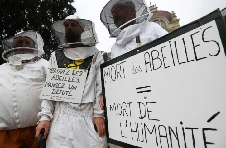 Des apiculteurs lancent un cri d'alarme sur le déclin des abeilles à Strasbourg, le 7 juin 2018