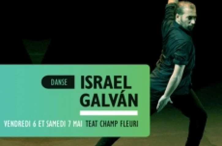 Israel Galvan, le maître du flamenco, se produira les 6 et 7 mai 2011 au théâtre de Champ Fleuri