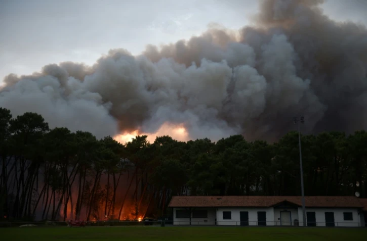La foret de Chiberta à Anglet, attaquée par le feu le 30 juillet 2020