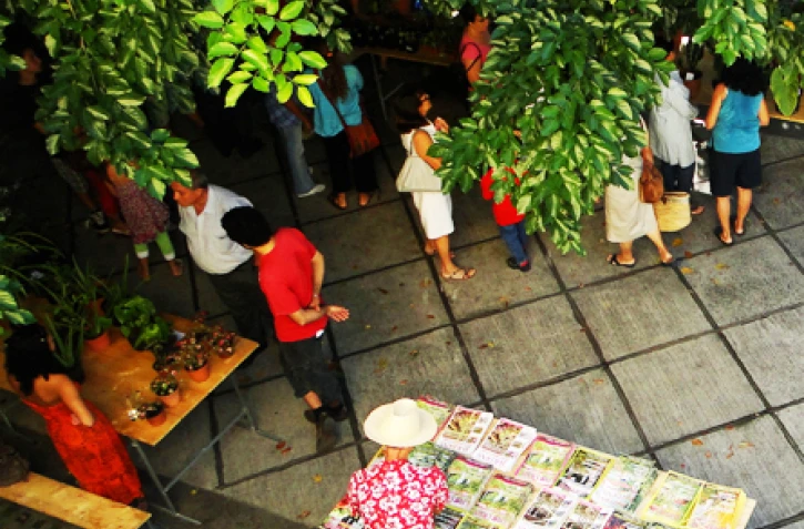 Lors d'une précédente brocante de jardin au CAUE (Photo D.R.)
