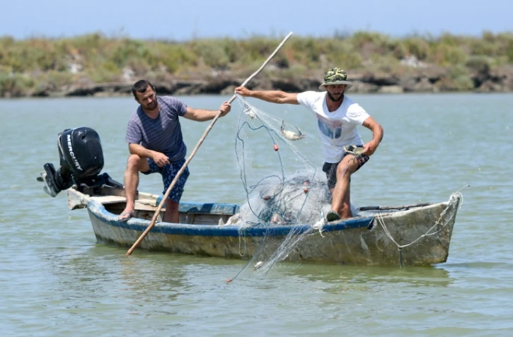 Adrian Kola, un pêcheur, retire des crabes bleus de son filet sur la rivière du village d'Adriatik, près du lagon de Divjakë en Albanie le 24 juillet 2020
