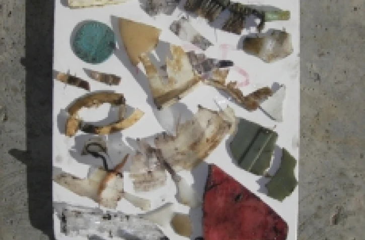 Déchets retrouvés dans l'estomac d'une tortue caouanne le 21 mai 2011 (Photo Kélonia)