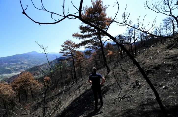 Le chef des pompiers Ilir Llapushi inspecte les dégâts causés par des incendies à Skenderbegas, près de Gramsh, dans le centre de l'Albanie, le 16 septembre 2025 