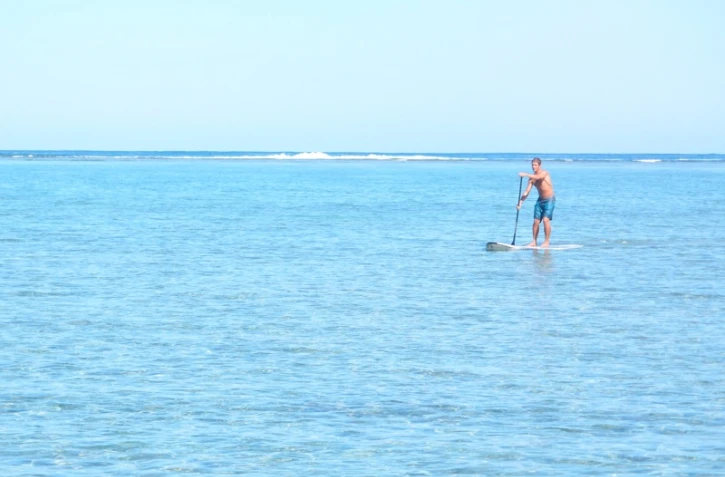 Paddle Board