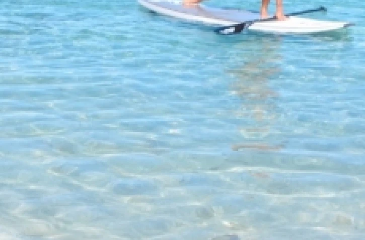 Paddle Board