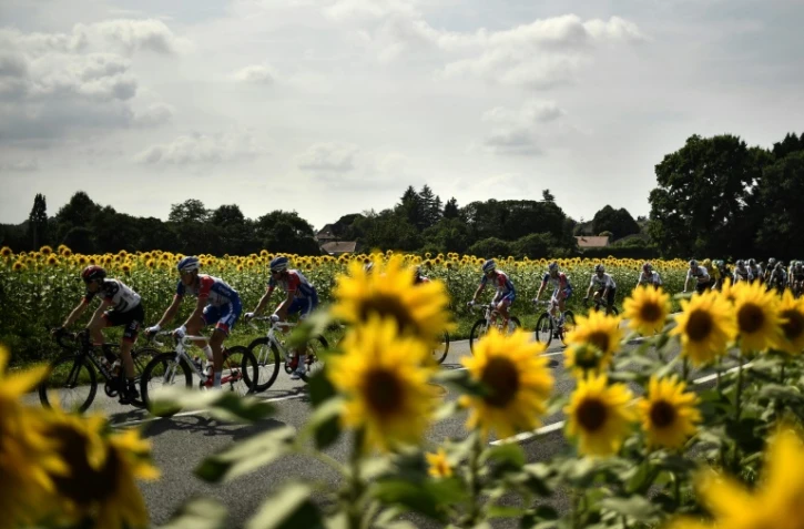 Le peloton du Tour de France lors de la 18e étape entre Trie-sur-Baise et Pau, le 26 juillet 2018