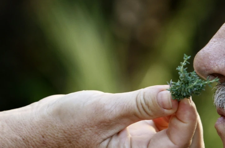 La perte de l'odorat un des symptômes du Covid-19 est difficile à vivre mais la rééducation existe
