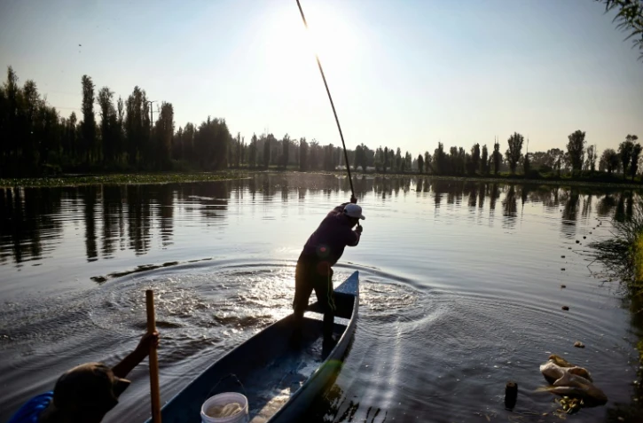 Des pêcheurs dans le jardin aztèque de Xochimilco, au sud de Mexico, le 1er août 2017
