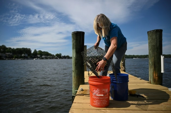 Kimberly Price, sur le ponton de sa maison où elle cultive des huîtres, à Crownsville, dans la baie de Chesapeake, le 20 mai 2025 dans le Maryland