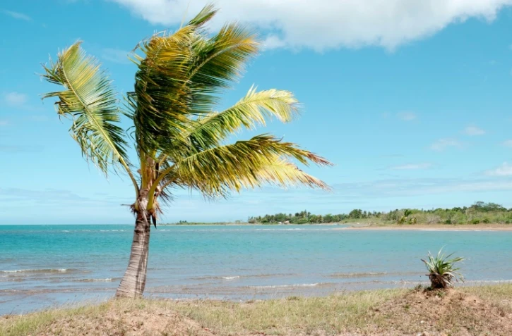 Une alerte au tsunami a été lancée