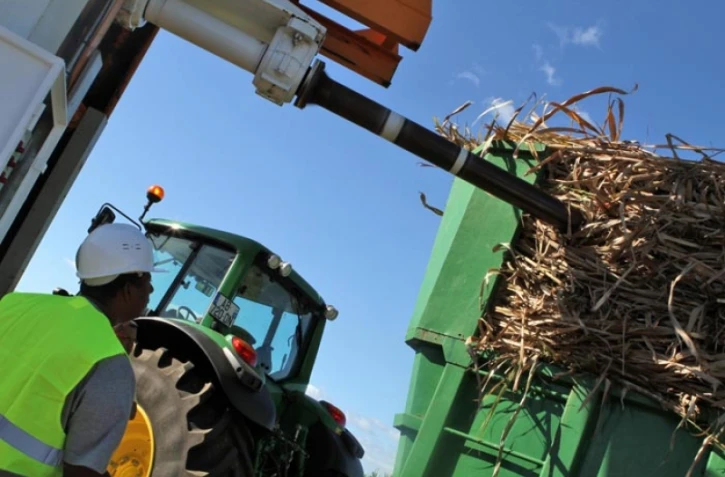 Lundi 11 Juillet 2011 Bois rouge - Début de la coupe de la canne dans l'est
Photo Mamousse Mathieu