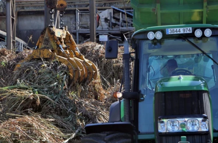 Lundi 11 Juillet 2011 Bois rouge - Début de la coupe de la canne dans l'est
Photo Mamousse Mathieu
