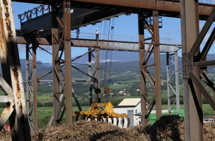 Lundi 11 Juillet 2011 Bois rouge - Début de la coupe de la canne dans l'est
Photo Mamousse Mathieu