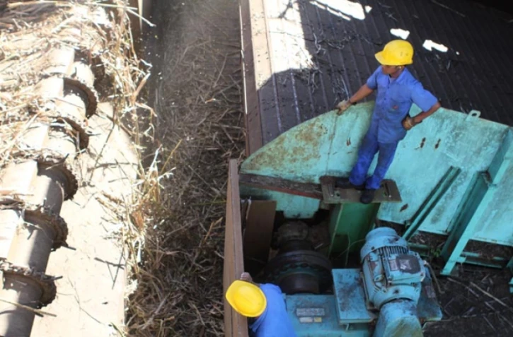 Lundi 11 Juillet 2011 Bois rouge - Début de la coupe de la canne dans l'est
Photo Mamousse Mathieu
