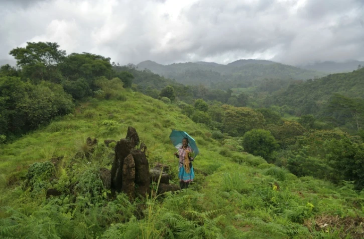 Laly Joseph, conservatrice au Gurukula Botanical Sanctuary, collecte des plantes le 16 octobre 2016 dans les montagnes du Western Ghat, en Inde