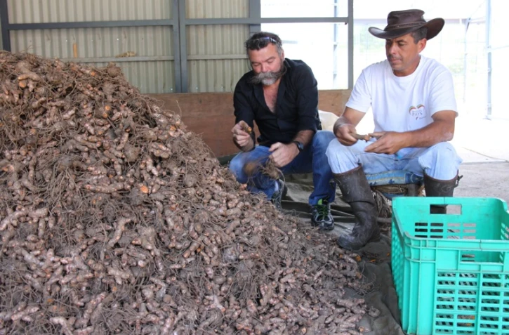 Journée de la rouroute et du curcuma chez Gilbert Hoareau (DR)