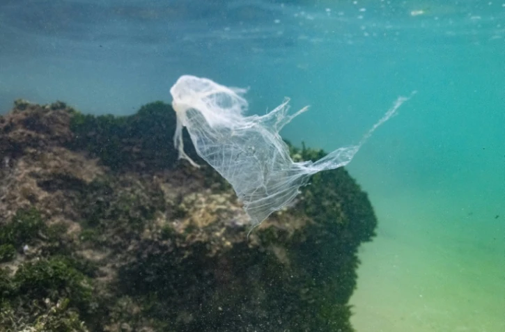 Morceau de plastique dans l'océan Indien le 31 décembre 2021