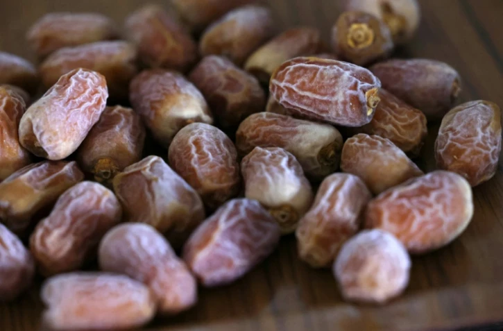 Des dattes récoltées d'un dattier issu de graines vieilles de 2.000 ans, à Kibbutz Ketura dans le sud d'Israël, le 27 septembre 2021