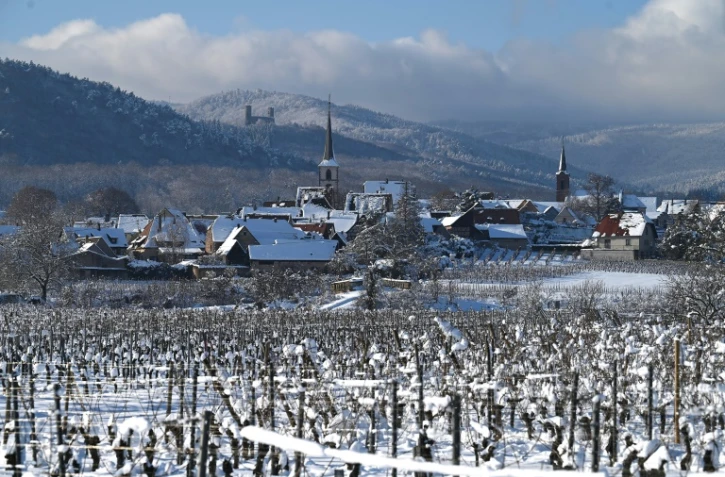 Les vignes couvertes de neige dans le village de Mittelbergheim, dans l'est de la France, le 15 janvier 2021