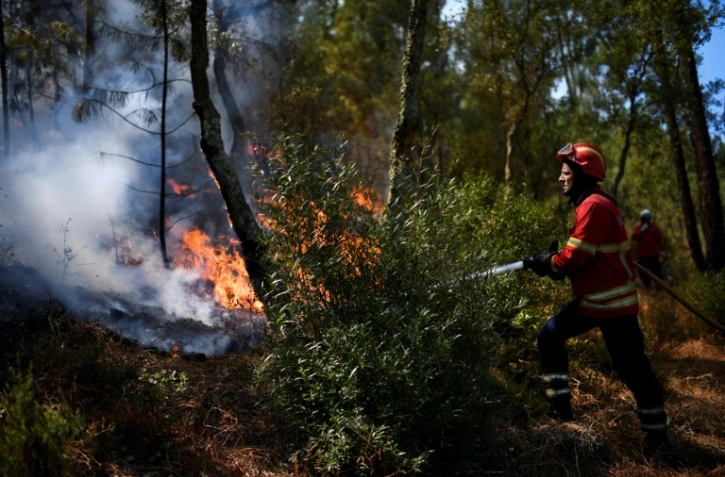 Un pompier combat un feu dans une forêt près du village de Bracal le 11 août 2017.