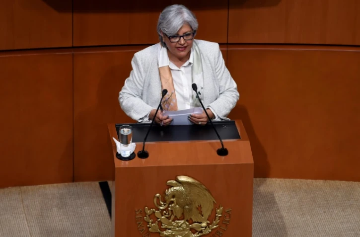 La secrétaire à l'Economie du Mexique Graciela Marquez Colin s'exprime devant le Sénat mexicain le 14 juin 2019 à Mexico City