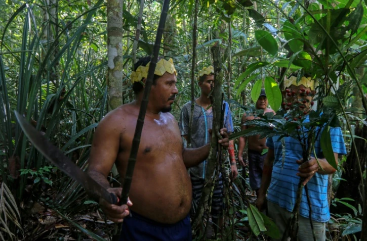 Des indigènes de l'ethnie Sateré Mawé cueillent des herbes médicinales dans la forêt amazonienne, près de Manaus pour soigner les malades du Covid-19, le 17 mai 2020