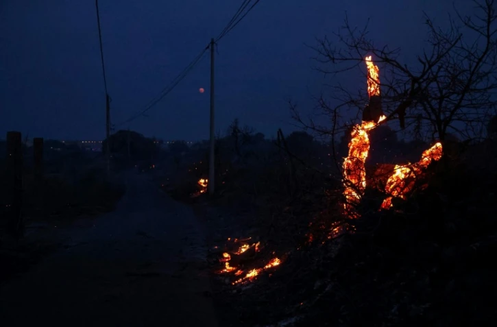 De la pinède gagnée par les flammes près de Frontignan, dans l'Hérault, le 18 août 2024 