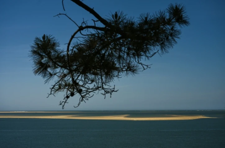 Le banc d'Arguin, îlot "mouvant" de sable près d'Arcachon, en Gironde, le 20 avril 2026
