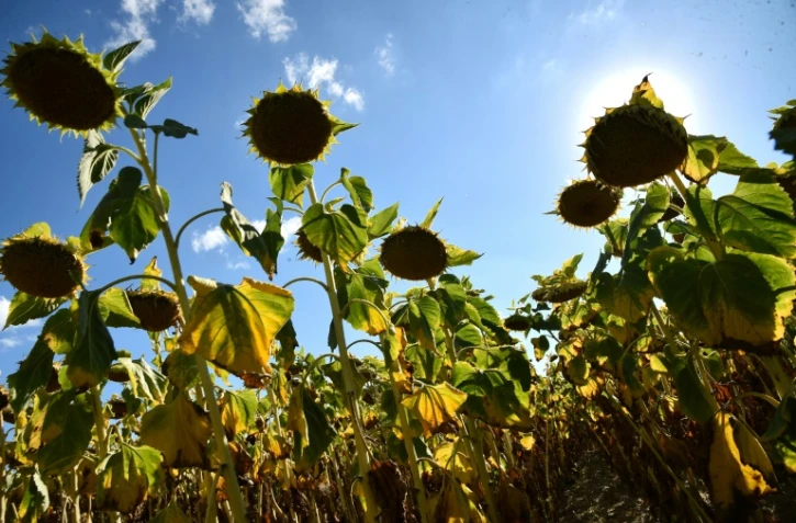 L'année 2018 devrait figurer au 4e rang des plus chaudes jamais enregistrées, a alerté jeudi l'ONU, avertissant de l'extrême urgence de la situation