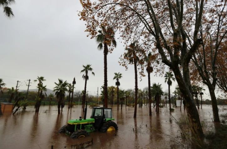 Tracteur abandonné à Roquebrune-sur-Argen,le 23 novembre 2019