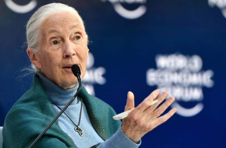 La primatologue britannique Jane Goodall au Forum économique de Davos, le 22 janvier 2020