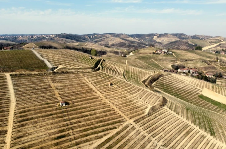 Des vignobles à Canale près de Cuneo dans la région de Roero, le 25 mars 2022
