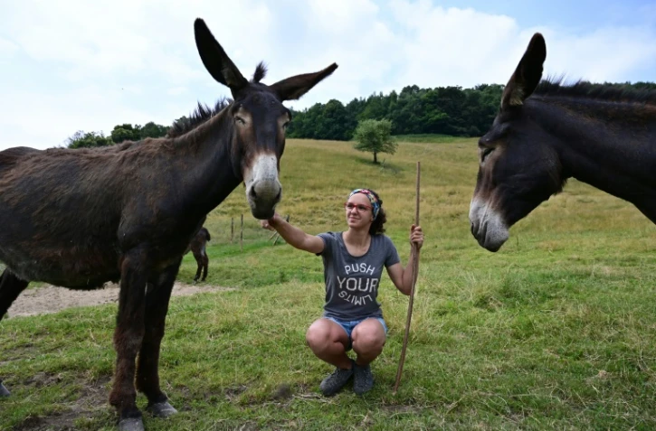 Vanessa Peduzzi avec deux de ses ânes à Alpe Bedolo, sur la commune de Schignano, le 25 juin 2020 en Lombardie