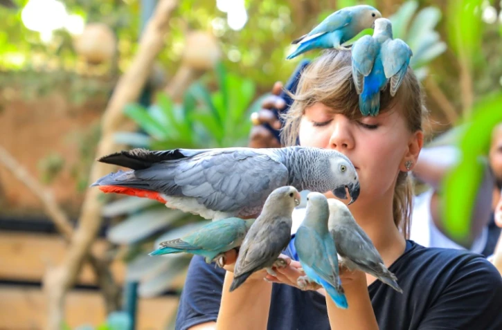 Une visiteuse dans la réserve pour oiseaux exotiques à Khartoum, le 14 mai 2022