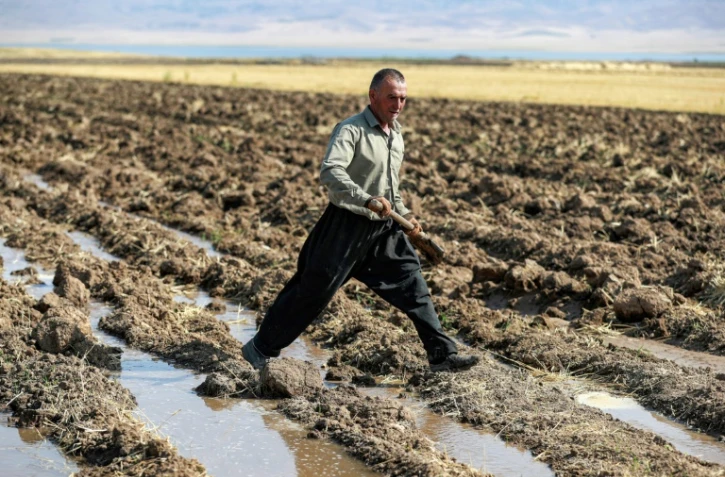 Un agriculteur kurde dans une ferme du district de Rania, près du barrage de Dukan, au nord-ouest de la ville de Suleimaniyeh, dans la région autonome du Kurdistan, dans le nord-est de l'Irak, le 2 juillet 2022