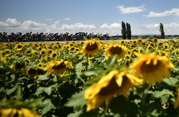 Le peloton du Tour de France traverse la campagne pour la 14e étape en direction de Mende, le 21 juillet 2018 
