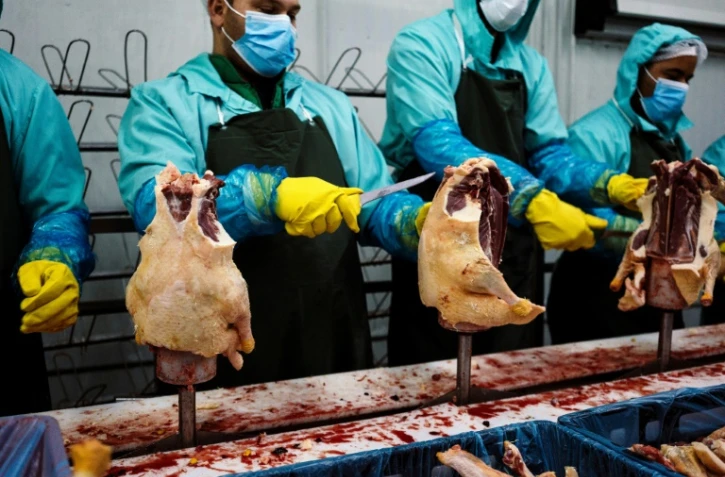 Préparation du foie gras le 8 novembre 2016 dans une exploitation industrielle du village de Milevo