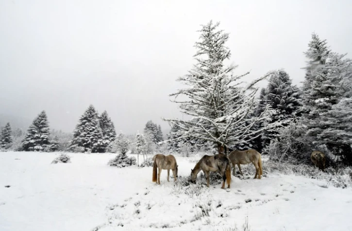 Premières neiges sur les Pyrénées, à Payolle, le 28 octobre 2018