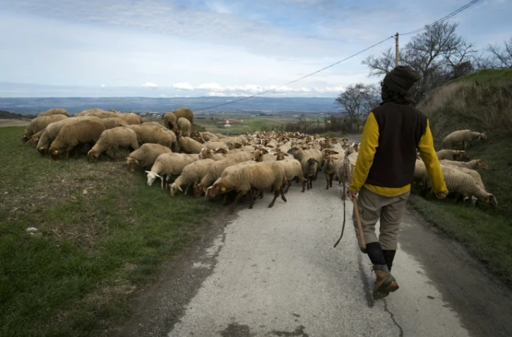 Yann Vetois, un agriculteur à Fanjeaux, dans le sud-ouest de la France, le 16 février 2018 