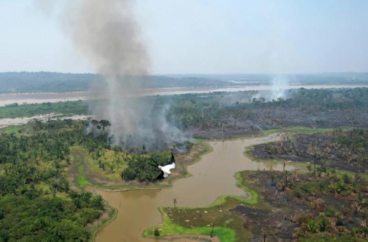 Un oiseau s'éloigne de la fumée d'une zone calcinée de la forêt amazonienne, le 1er septembre 2022, dans le parc national de Mapinguari, Etat de Rondônia, au Brésil