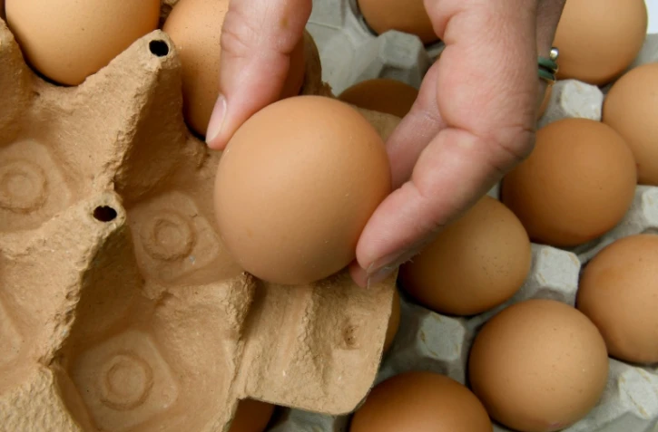 La justice belge examine jeudi les responsabilités dans le scandale des ?"ufs contaminés au Fipronil