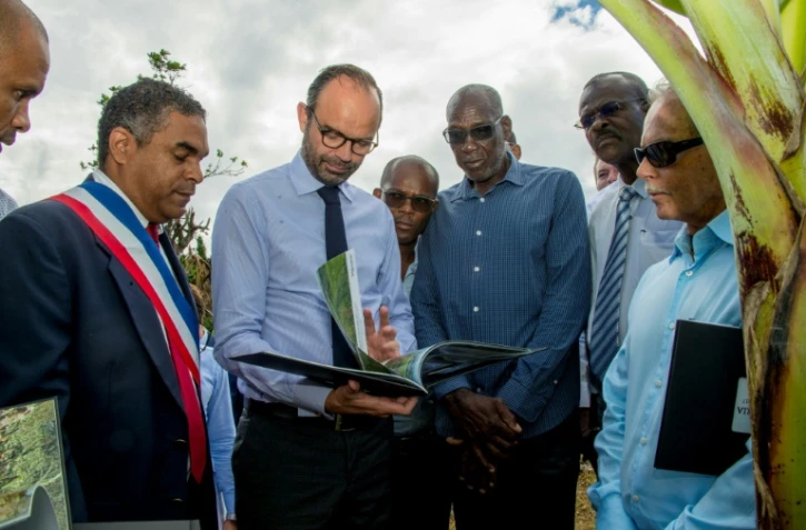 Le Premier ministre Edouard Philippe (2eg) regarde des photos des dégâts causés par l'ouragan Maria, avec le maire de Trois-Rivière Jean-Louis Francisque (g), le responsable d'une plantation de bananiers Jean-Claude Morand (3ed) et le Président de l'association des producteurs de bananes Francis Lignieres (d), le 5 novembre 2017 aux Trois Rivieres, en Guadeloupe