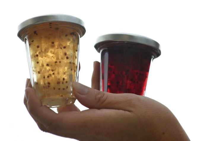 Les baies sont épépinées une à une, à la plume d'oie: la confiture de groseilles de Bar-Le-Duc, ancestrale friandise de luxe à 200 euros le kilo, est élaborée selon une recette ultra-secrète, connue aujourd'hui d'une seule personne.