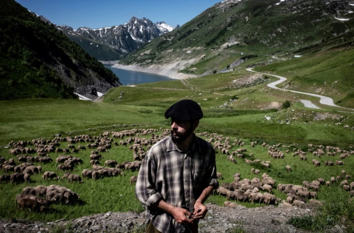 Le berger Gaétan Même, 24 ans, seul avec son troupeau de chèvres à Saint-Colomban-des-Villards, dans les Alpes françaises, le 21 juin 2018