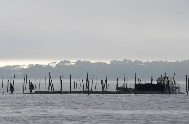 Un parc ostréicole sur la Bassin d'Arcachon le 6 décembre 2017