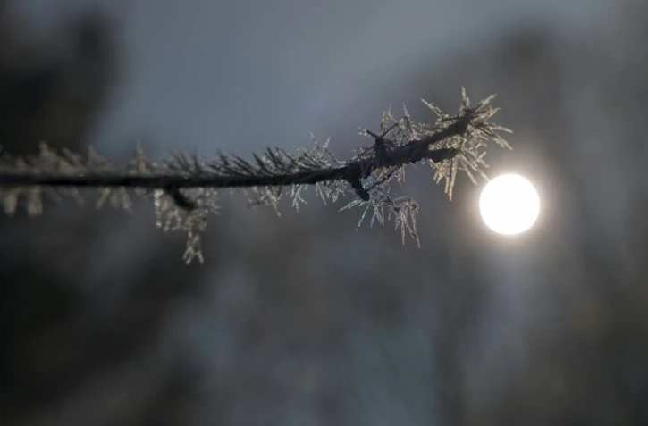 La nuit de dimanche à lundi a enregistré les températures les plus froides pour un mois d'avril depuis 1947, selon Météo France