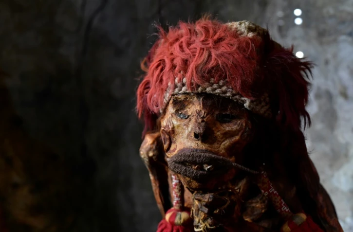 Un momie incas au parc zoologique Pairi Daiza, à Brugelette, en Wallonie (sud de la Belgique), le 13 juillet 2020